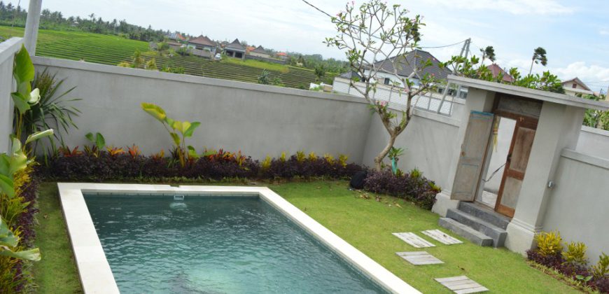 3-bedroom Villa Alejandra in Canggu