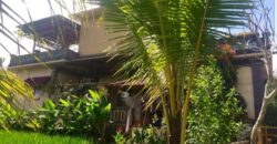 3-bedroom Villa Marinette in Ubud