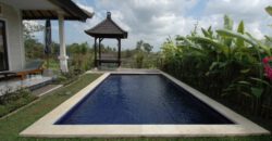 2-bedroom Villa Dothan in Canggu