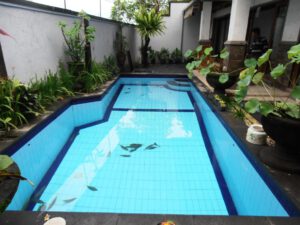 P1120120 - Bali Long Term Villa Rentals long term rental villa netro in sanur, yearly rental villa