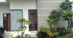 House Wayne in Kerobokan – AY1043