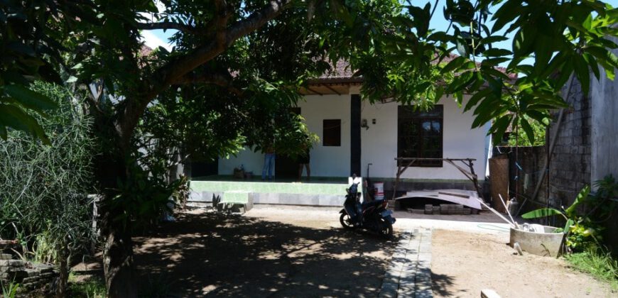 Villa Emmylou in Sanur – AY424