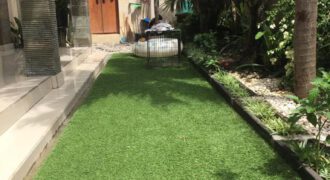 House Dolly in Sanur – AY501