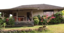 House Almandine in Berawa – VI54