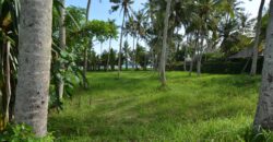 Beach Front Land for Sale in Cemagi