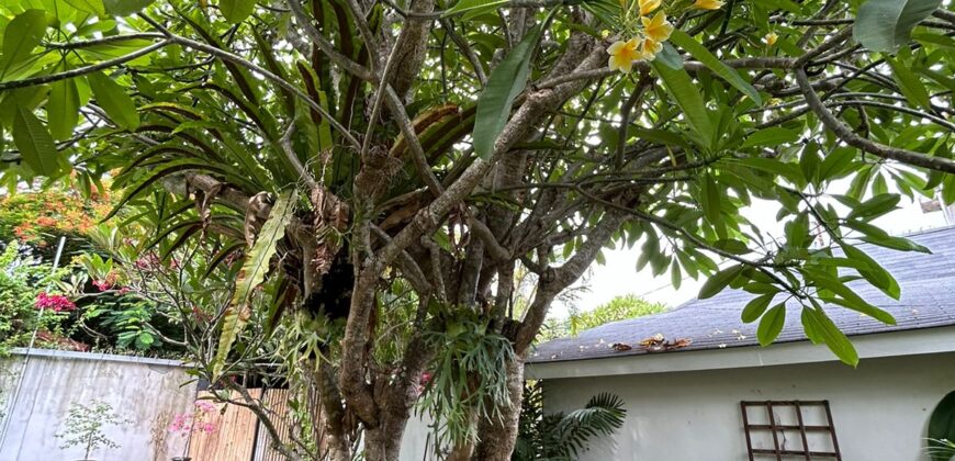 4-Bedroom Beach Side Villa Nyx in Sanur