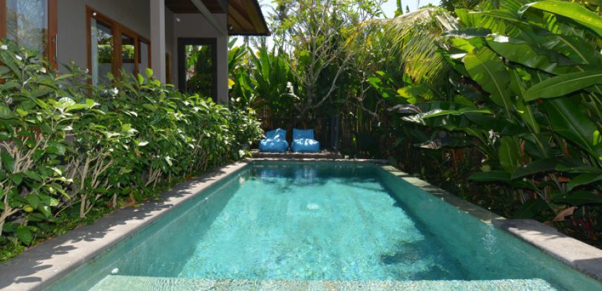 Villa Adelyn in Tabanan – AY1027